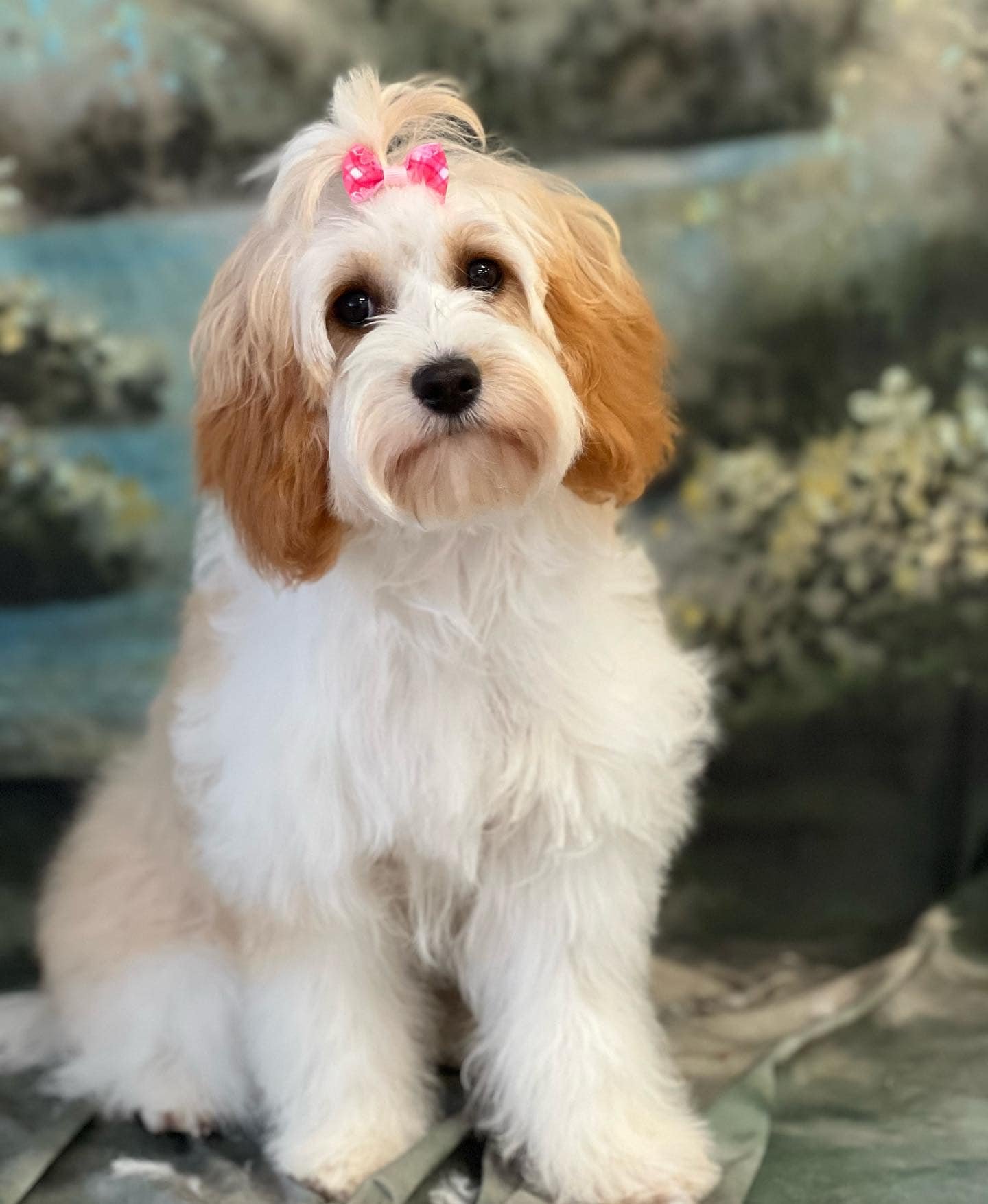 Pink Bow